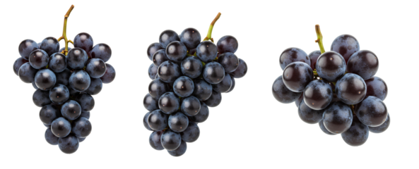 Red grapes set PNG. Bunch of red grapes isolated. Concord grape full of vitamins isolated. Ripe and organic grapes for vegan vegetarian concepts isolated