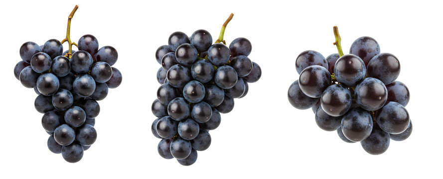Red grapes set PNG. Bunch of red grapes isolated. Concord grape full of vitamins isolated. Ripe and organic grapes for vegan vegetarian concepts isolated