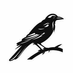 Elegant bird perched on a branch vector art graphic silhouette