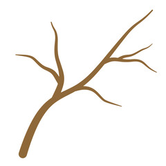 Dry Tree Branches