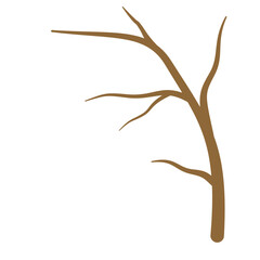 Dry Tree Branches