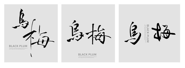 Black Plum Calligraphy Poster | Chinese Ink Brush Typography Design
