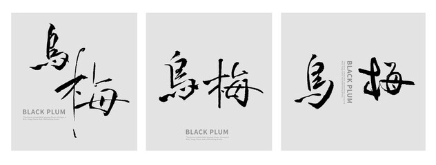 Black Plum Calligraphy Poster | Chinese Ink Brush Typography Design