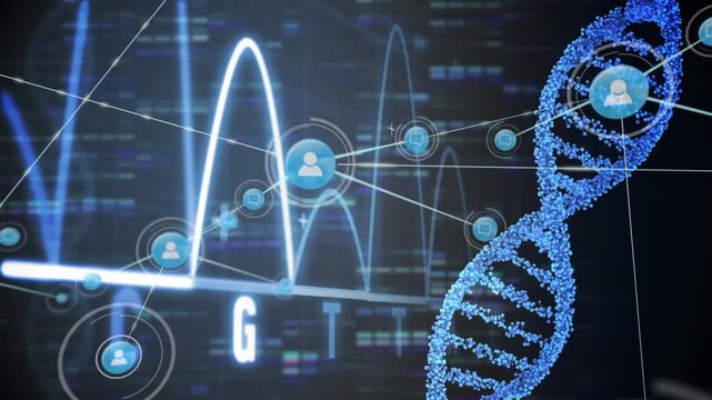 Animation of medical caduceus symbol, icons in hexagon forming globe, dna helix over multiple texts - Powered by Adobe