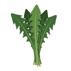 A stylized illustration of dandelion greens against a stark black background.