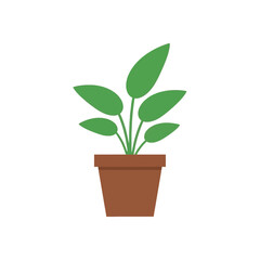 A simple, stylized illustration of a houseplant in a terracotta pot against a black background.