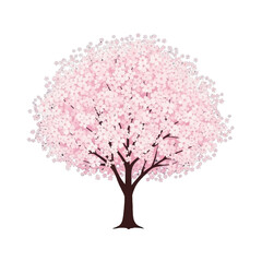 Obraz premium A springtime cherry blossom tree, full of delicate pink flowers, stands out against a bold black backdrop.