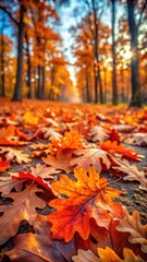 Richly colored autumn oak leaves scattered on the forest floor with vibrant hues of orange and red in a beautiful natural setting
