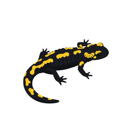 Fototapeta premium A flat illustration of a salamander, showcasing its distinctive black and yellow spotted pattern, against a stark black background.