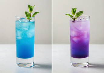 mojito cocktail with mint