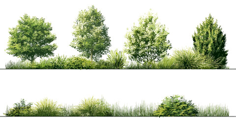 Coniferous Forest Tree Set – Silhouette Pine and Spruce Vector Cutout Collection for Landscape and Texture vector Design  on transparent background 