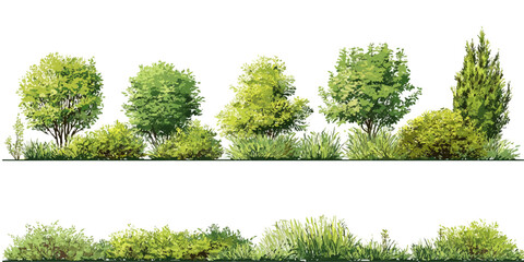 Green Bushes and Trees Vector Set – Realistic Foliage Collection for Landscape Design on White Background © appl