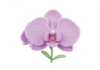 Stylized orchid bloom. Soft, fluffy texture, light purple petals with a yellow and white center on green stem