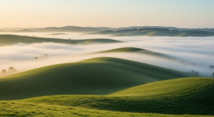 Obraz premium Serene Sunrise: Misty Green Hills, Rolling Landscape at Dawn