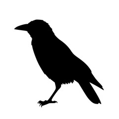 Obraz premium Solid black crow head side silhouette logo symbol vector illustration design sign icon character on white background.