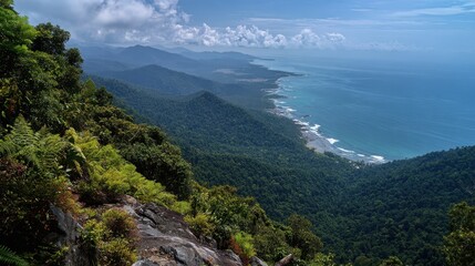 Naklejka premium Panoramic View: Lush Rainforest, Coastal Mountains, and Ocean