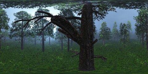 Trees in the fog. Environment map. HDRI map. equidistant projection. Spherical panorama. landscape
3D rendering