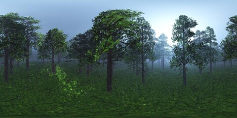 Trees in the fog. Environment map. HDRI map. equidistant projection. Spherical panorama. landscape
3D rendering