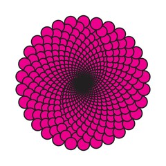  Abstract magenta spiral illusion with depth on white canvas.
