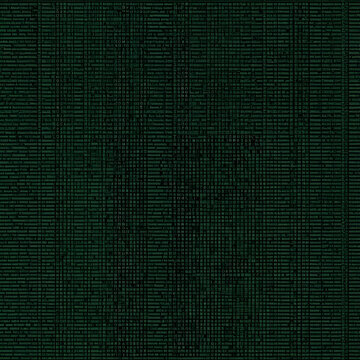 computer program code