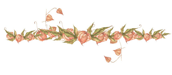 Seamless autumn border of watercolor physalis branches, hand-drawn. Isolated on a white background. 