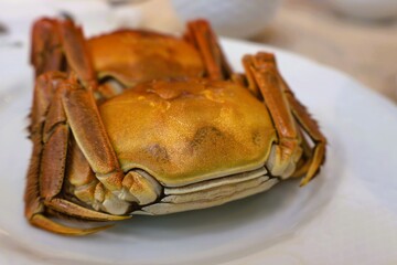 Shanghai crabs can be eaten in Japan in the fall