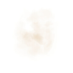 Realistic Golden Mist with Fluffy Clouds, Soft Fog, and Transparent Weather Effects for Atmospheric and Meteorology Designs.
