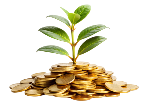 plant with gold coins png image on transparent background - Powered by Adobe