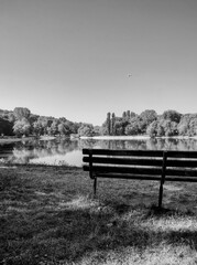 Monochrome view of a calm lake, with a wooden bench in the foreground and a line of trees on the opposite shore reflected in the water