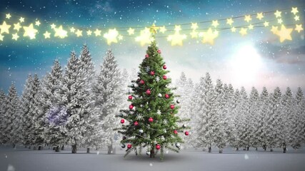 Animation of snow falling over fairy lights and christmas tree on winter landscape - Powered by Adobe