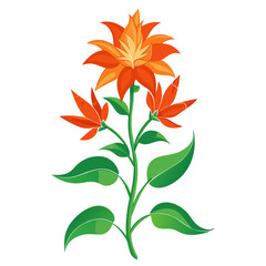 Stylized Orange Flowering Plant with Layered Petals and Green Veined Leaves – Vibrant Botanical Illustration on White Background