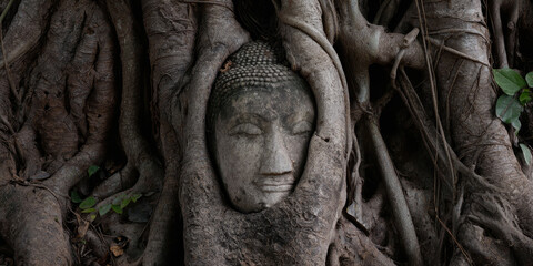 Ancient Buddha head wrapped in tree roots, serene expression