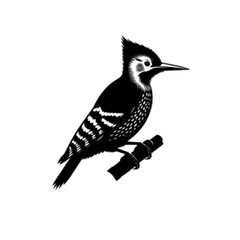 Realistic Detailed Woodpecker Bird Vector Illustration