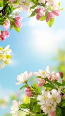 a vibrant scene of spring blossoms against a sunny sky. The delicate pink and white flowers create a beautiful frame against the clear blue sky