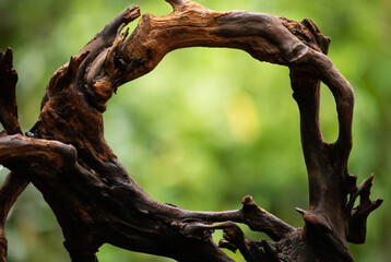 Frame shape old wood on natural background.