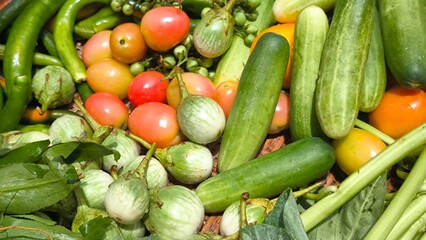 Fresh vegetables for cooking. Vegetables contain dietary fiber that helps cleanse the intestines.
