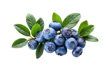 A vibrant arrangement of fresh blueberries and green leaves on white background