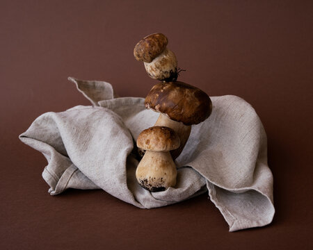 Fresh porcini mushrooms arranged on rustic linen fabric against a warm brown background.
Natural still life composition highlighting organic food, earthy colors, and seasonal harvest. Perfect for culi