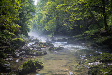 Les gorges de Malvaux sont des gorges du massif du Jura, où coule la rivière Saine, entre la commune de Foncine-le-Bas et la commune des Planches-en Montagne, dans le département du Jura