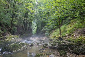 Les gorges de Malvaux sont des gorges du massif du Jura, où coule la rivière Saine, entre la commune de Foncine-le-Bas et la commune des Planches-en Montagne, dans le département du Jura