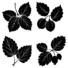 Obraz premium Black and white illustration of four berry branches with leaves and berries in silhouette style design