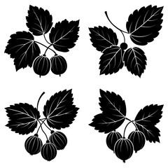 Obraz premium Four black and white gooseberry bunches with leaves isolated on a white background in a vector format