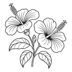 Black and White Hibiscus Flower Vector Illustration with Leaves