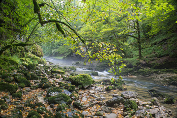 Obraz premium Les gorges de Malvaux sont des gorges du massif du Jura, où coule la rivière Saine, entre la commune de Foncine-le-Bas et la commune des Planches-en Montagne, dans le département du Jura