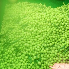 close up of green peas