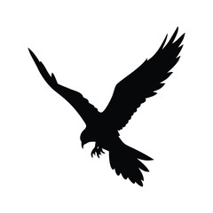Silhouette of a hawk in flight with wings spread wide