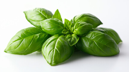 Fototapeta premium Fresh basil leaves arranged attractively on a white background showcasing their vibrant color and texture