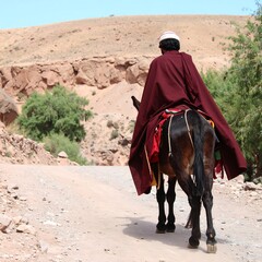 A man on a donkey, desert landscape