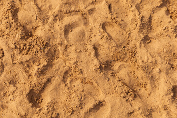 Sandy ground showcases a variety of footprints left by beachgoers. The warm sand reflects midday sunlight, creating a serene atmosphere by the shoreline