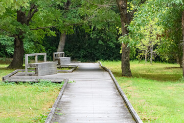 Wooden walkway and benches in a quiet green park
